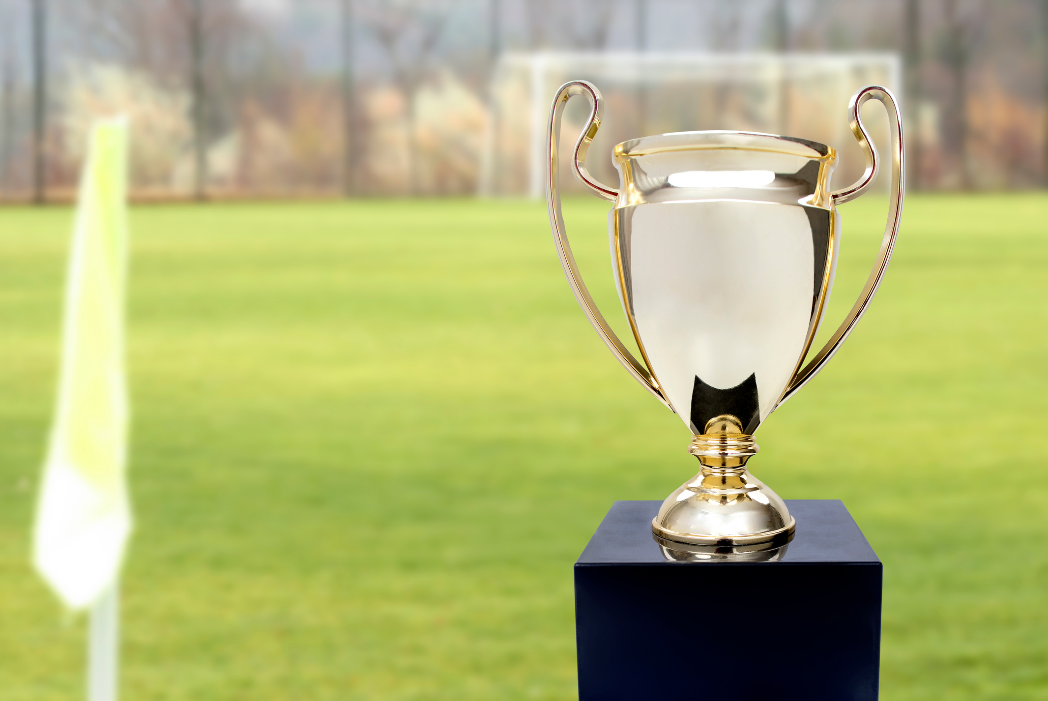 championship cup with football field background